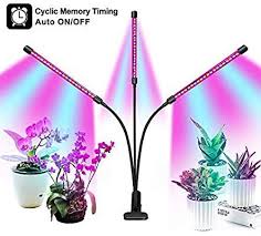 We did not find results for: Full Spectrum Grow Light For Indoor Plants Auto On Off With 3 9 12h Timer 8 Dimmable Lightness Clip On Desk Led Led Plant Lights Plant Lighting Grow Lights