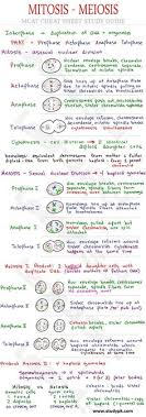 Waves virtual lab answer key + my pdf collection 2021 waves virtual lab answer key. 92 Mitosis Meiosis Ideas Mitosis Teaching Biology Biology Lessons