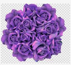 Set of beautiful floral and herbal decorations. Clip Art Clipart Garden Roses Flower Clip Art Purple Roses Drawings Transparent Free Transparent Png Download Pngkey