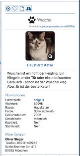 Ihnen ist ihre katze oder ihr. So Geht S Starthilfe Pannenservice Mein Mensch Und Ich