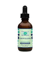 Image result for Cryptolepis