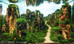 Siapkan media tanam di rumah; Pasir Silika Aquascape Ady Water Berkualitas Banyak Pilihan Dan Ready Stok Di Jakarta Bandung Surabaya Pasirsilika Com Jual Pasir Silika Harga Pasir Silika Membran Ro Jual Resin Kation Anion