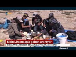5 Bin Lira Maasla Coban Araniyor Youtube