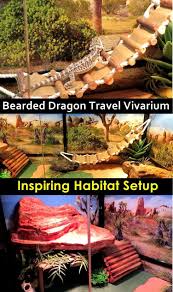 Are You Challenged With The Daunting Task Of Setting Up A Bearded Dragon Travel Vivarium It Can Be Bearded Dragon Bearded Dragon Care Bearded Dragon Vivarium