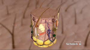 Unfortunately, the wash, scent and formulation fall well short of the desired standard. Folliculitis Treatment Video Bacterial Infection Treatment