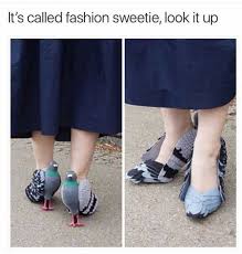 Dopl3r Com Memes Its Called Fashion Sweetie Look It Up