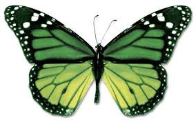 A sound of thunder lyrics. A Sound Of Thunder And The Butterfly Effect Manage By Walking Around