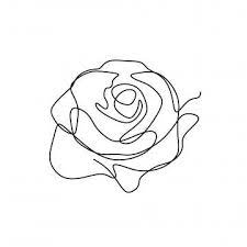 Transparent background rose png hd. Black And White Line Drawing Flowers Flower Line Drawing Plant Graffiti Hand Drawn Line Drawing Fashion Line Drawing Fashion Pattern Flower Line Drawing Png Flower Line Drawings Line Art Flowers
