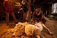 Image result for W. G. KAISER (Farm Mechanics, 3 (1920)