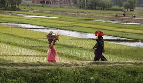 This is his latest dispatch from india. Returning To Normal Is Impossible For India S Tea Plantation Workers Openglobalrights