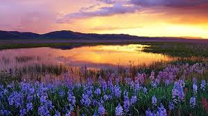 If you're in search of the best nature wallpaper 1920x1080, you've come to the right place. Hd Wallpaper Widescreen High Resolution Nature Hd 1920x1080 Beauty In Nature Wallpaper Flare