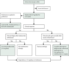 Image result for Microscopic Colitis