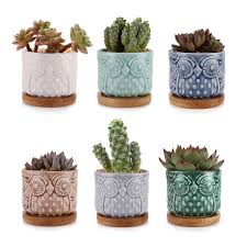 Instead of decorating with logs, we decorated with cactus! Owl Planter Pots Ceramic Succulent Mini Flower Pots Container Bonsai Planters Pots With Hole Flower Plant Pots Garden Planters Pots Home And Office Decoration Desktop Windowsill Gift Set Of 6 Gardening Kolenik Pots Planters