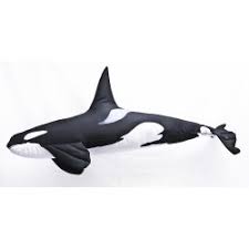 Internet, airconditioning, huisdiervriendelijk, haard, tv, wasmachine & droger, kindvriendelijk, parkeren, roken niet. Orca Killerwal Mini Kissen Ca 51 Cm Elena Theys Meeresaquaristik