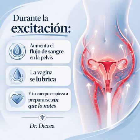 Muchas veces en consulta me hacen esta pregunta: “¿Qué pasa en mi cuerpo  durante la intimidad?” 👀 Y la realidad es que casi nadie lo explica bien.  Tu cuerpo no está “reaccionando