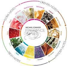 Michael Edwards Perfume Fragrance Wheel Download