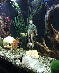 With so many classic and quality genres to choose from, such as multiplayer, bingo, puzzle, and card you'll be entertained forever! Jason Voorhees Fish Tank Decoration Gtage