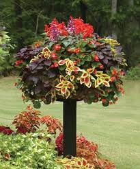 Baskets On Post Photos Pamela Crawford Container Gardening Vegetables Container Gardening Container Gardening Flowers