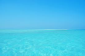 The Luxury Travel review