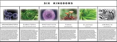 Six Kingdoms Of Life Home
