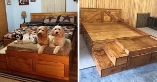 Pet Beds