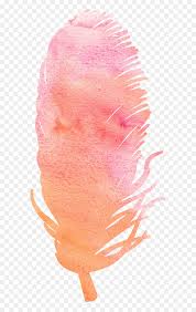 For feather watercolor 10 images found by accurate search and more added by similar match. Watercolor Feather Png Transparent Png Vhv