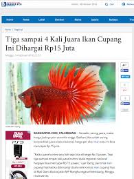 Terimakasih sudah menonton video ini kali ini mas syahrir jalan jalan dan mengenalkan ikan cupang buat kontes juara yang tempatnya di surabaya barat yuk. Tiga Sampai 4 Kali Juara Ikan Cupang Ini Dihargai Rp15 Juta Bsn Badan Standardisasi Nasional National Standardization Agency Of Indonesia Setting The Standard In Indonesia Iso Sni Wto