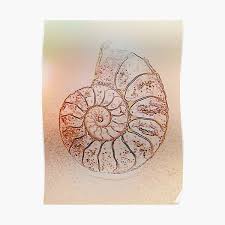 Watch ammonite 2020 full movie on 123movies. Ammonite Posters Redbubble