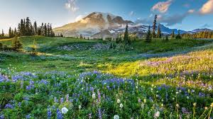 Robert G. "Rod" Wolf