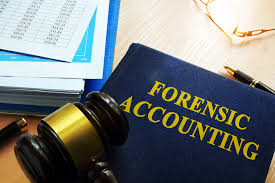 What is the role of forensic accountants?