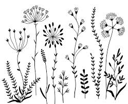 Wildflowers Clipart And Stamps Digital Clipart Clip Art Flowers Digital Brushes Digital Graphics Flower Drawing Flower Art Botanical Line Drawing