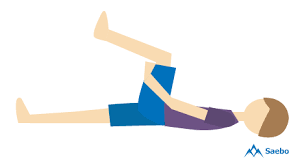Spinal Cord Injury Exercises To Improve Range Of Motion Spinal Cord Injury Spinal Cord Spinal