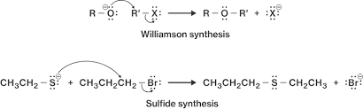 This reaction was developed by alexander williamson in 1850. Preparation Of Sulfur Functional Groups Course Hero