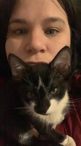 Iso a kitten for me and my son. Location paisley florida