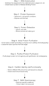 flowchart illustrating the sequential protein purification