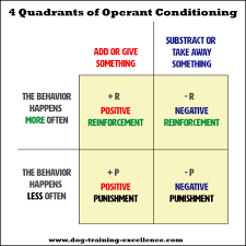 Operant Conditioning Using Positive Vs Negative Dog