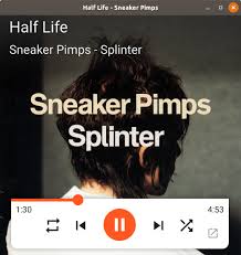 Install Google Play Music Desktop Player For Linux Using The Snap Store Snapcraft