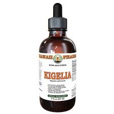 Image result for Kigelia