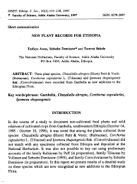 Image result for Ipomoea shupangensis