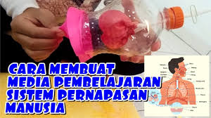 Berikut ini kita akan membuat tempat pensil dari kertas koran bekas. Soal Jawaban Tvri Sd Kelas 4 5 6 Selasa 4 Agustus 2020 Sistem Pernapasan Manusia