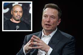 Musk Tells Rogan Twitter 'Suppressed' Republicans '10 Times' More Than Dems  - Newsweek