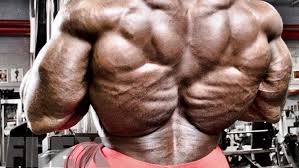 By performing a back workout routine on a consistent basis it can alleviate low the added weight also helps to tone the core. In The Crosshairs Lower Back Lower Back Muscles Lower Back Injury Back Muscles