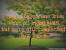 Love Is Like A Tree Poem