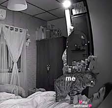 After seven years of searching, social media star b simone is still looking for a boyfriend, bringing an eclectic cast of dating competition hopefuls to her hot atlanta mansion. Me Waiting For My Boyfriend To Wake Up Time Zones Suck Longdistance