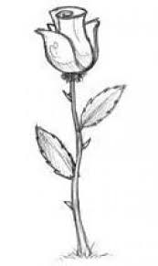 Disegni tumblr fiori bellissimi rosa fatta con matite colorate. Como Desenhar Uma Rosa Facil E Bonita Com Lapis Ou Carvao Nel 2019 Fiori Disegnati A Matita Disegni A Carboncino E Disegni Di Tumblr