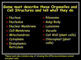 Test your knowledge by identifying the parts of the cell. Nucleus Nucleolus Nuclear Membrane Cell Membrane Mitochondrion Ppt Video Online Download