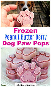 Frozen Dog Treats Peanut Butter Berry Pops A Cultivated Nest Recipe Dog Treats Homemade Recipes Dog Biscuit Recipes Frozen Dog Treats Homemade