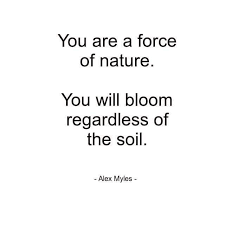 Black And White Nature Quotes Pin On A Piece Of Peace