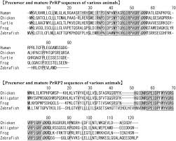 Find running routes in huancavelica. Vicugna Pacos An Overview Sciencedirect Topics