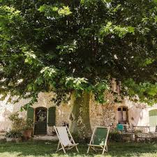 Pin Pa Jardin Exterieur
